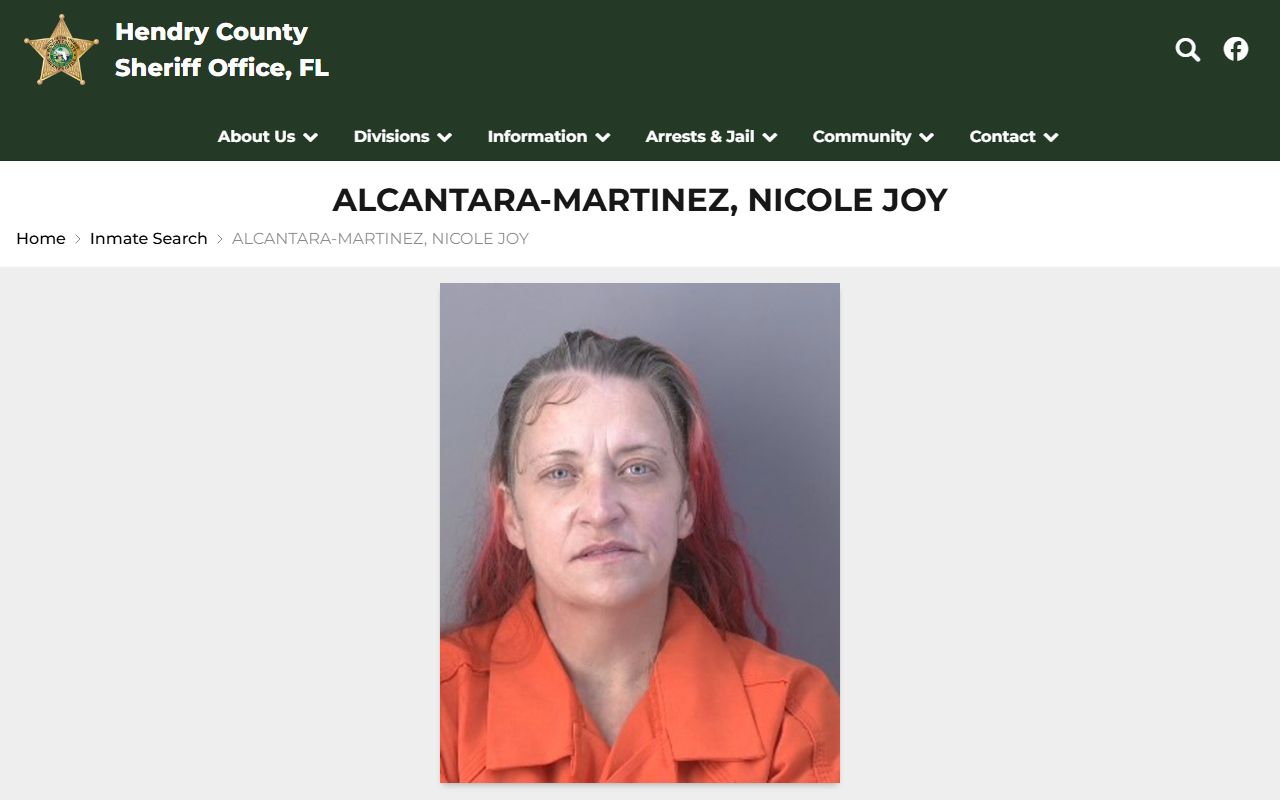Sample Hendry County jail booking photo and inmate detail page
